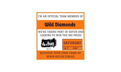 Orange and white graphic announcing: "I'm an official team member of Wild Diamonds, supporting the Leukaemia Foundation. We're taking part in 4XFun and looking to win the big prize! Saturday, 04 June. Register your own team at www.4xfun.com.au.