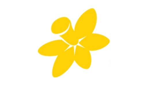 A simple, stylised yellow daffodil flower with five petals and a central trumpet, inspired by the Leukaemia Foundation, on a white background.